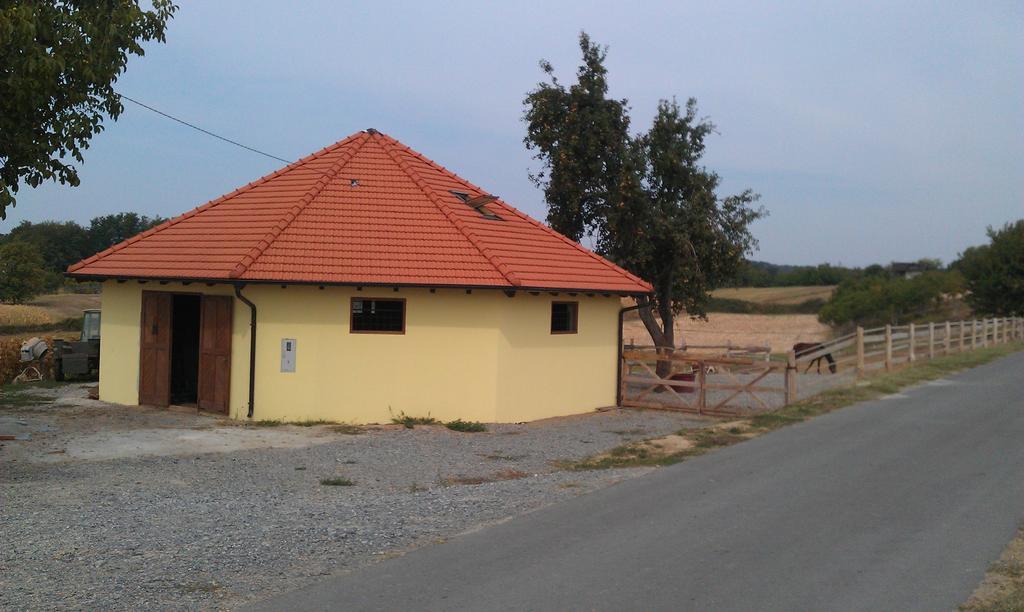 Rooms & Apartment Vinia Bjelovar Exterior foto